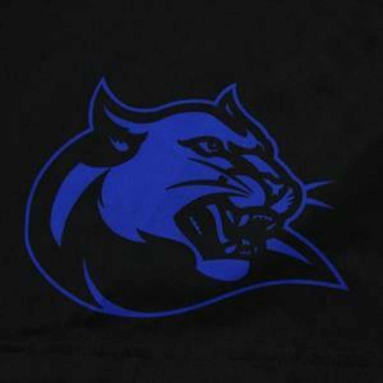 Culver-Stockton Wildcats Apparel | Clothing and Gear for Culver